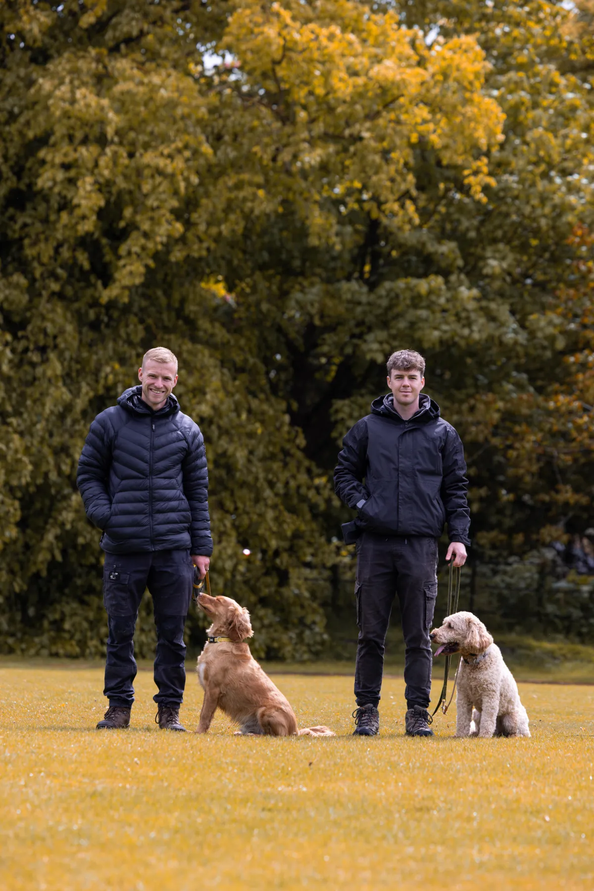 A trainer and an owner standing with two calm doodles in a field