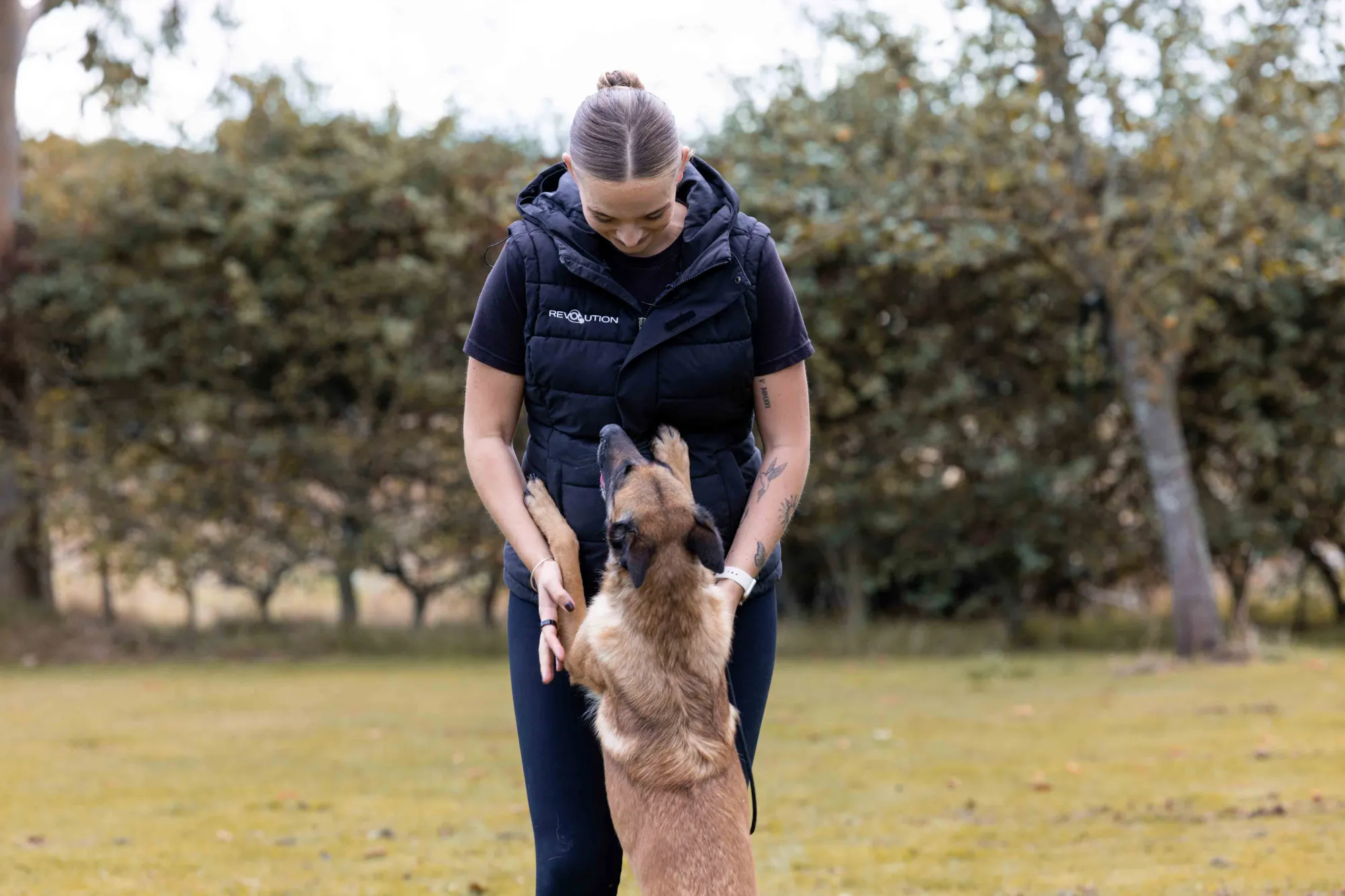 A trainer working with a Belgian Malinois in a field