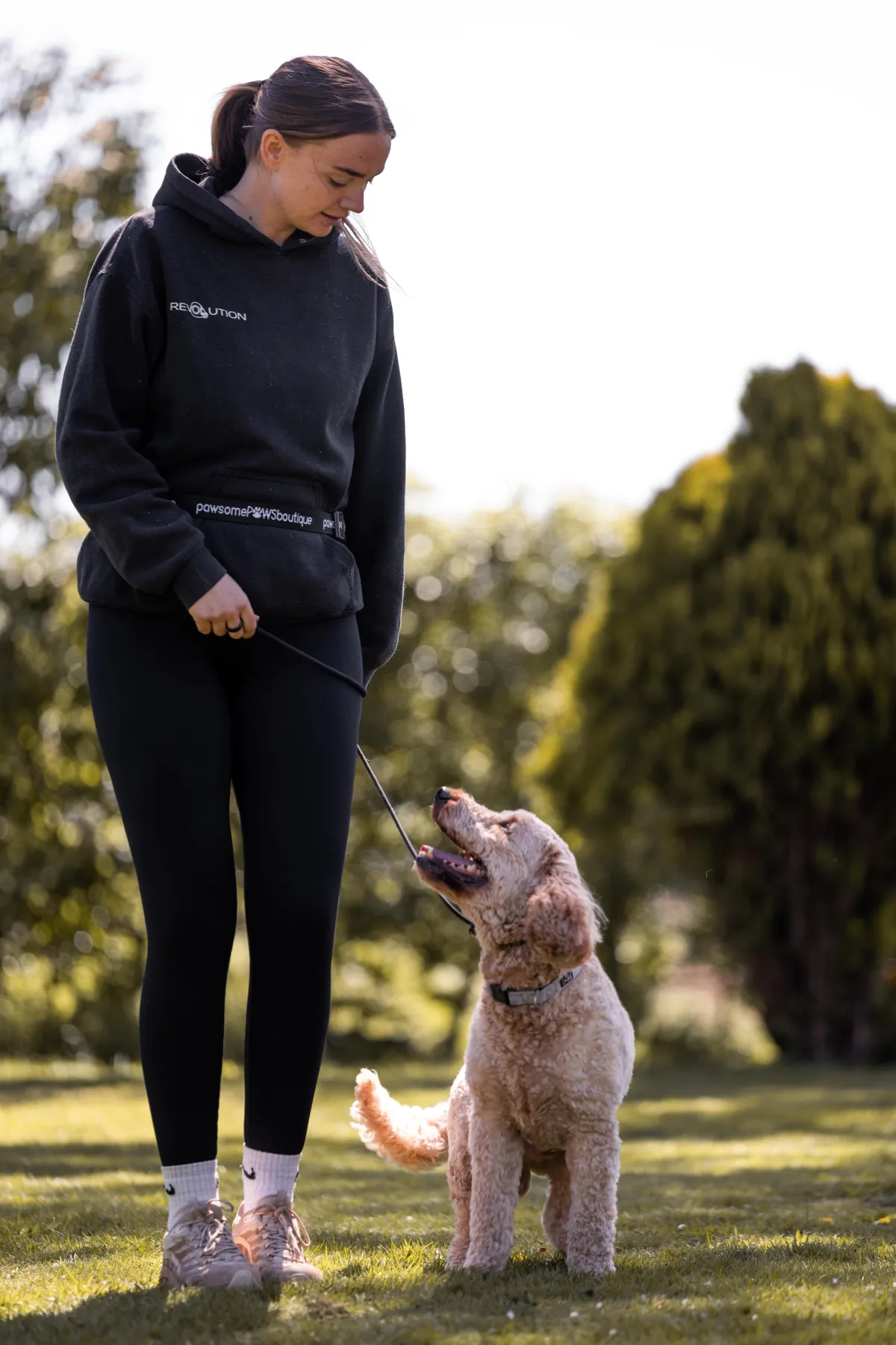 A trainer walking a doodle on a loose lead in a garden