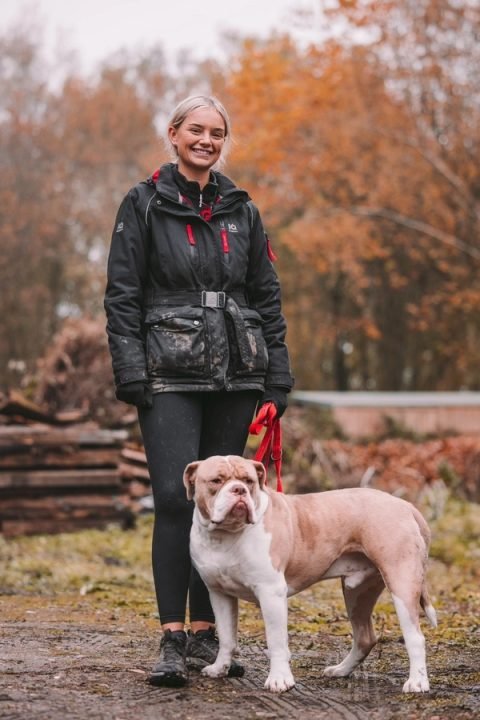 Hank the Bulldog on the lead beside his trainer in autumn woodland