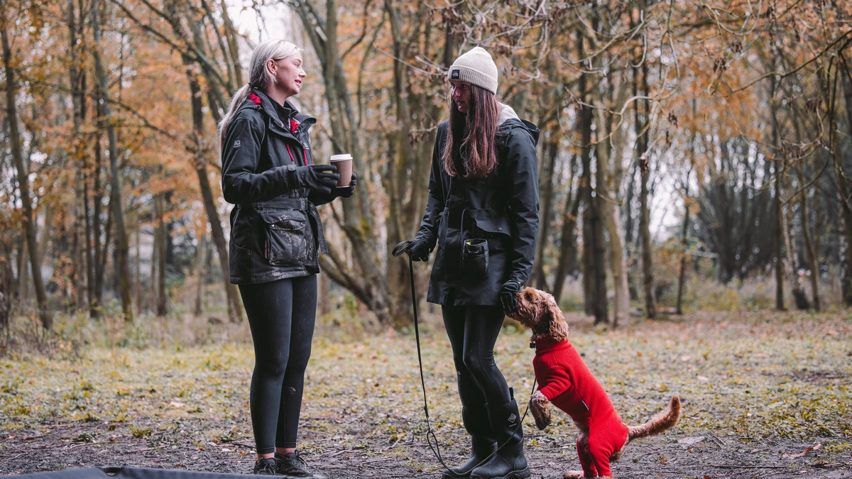 puppy training revolution dog training