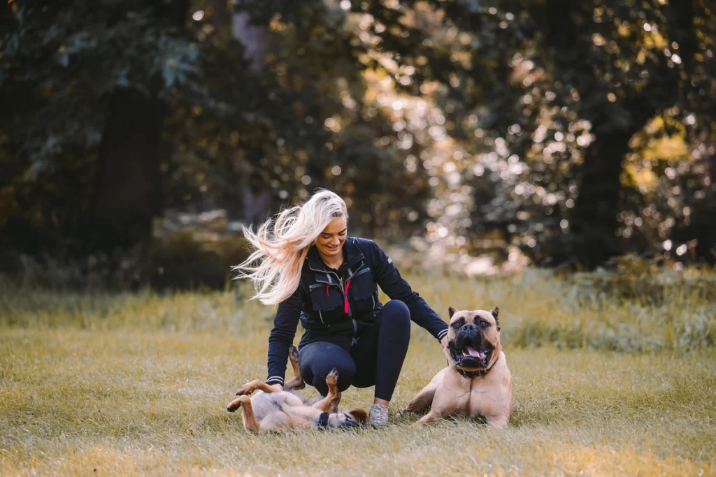 revolution dog training