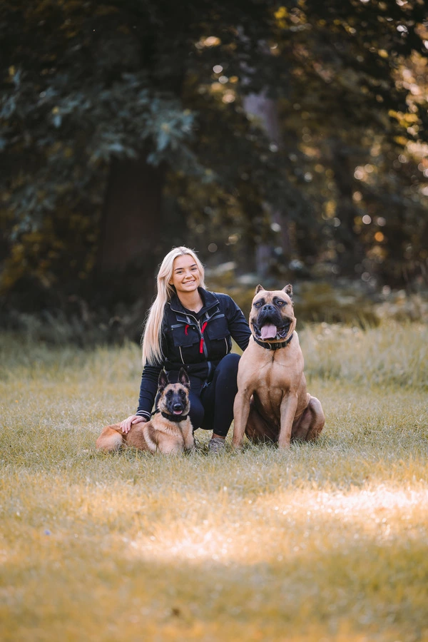 revolution dog training news & articles by madison barraclough