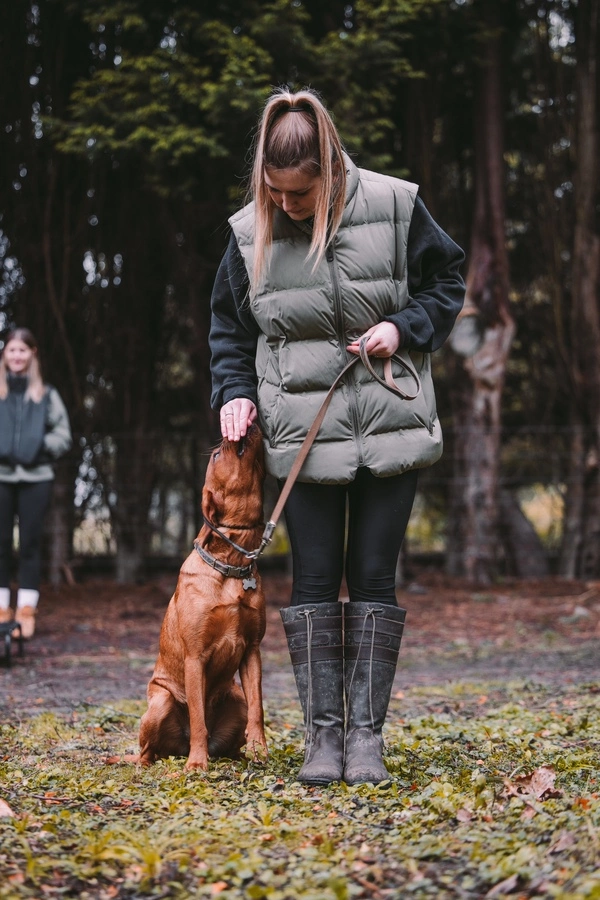 Emma - Revolution Dog Training