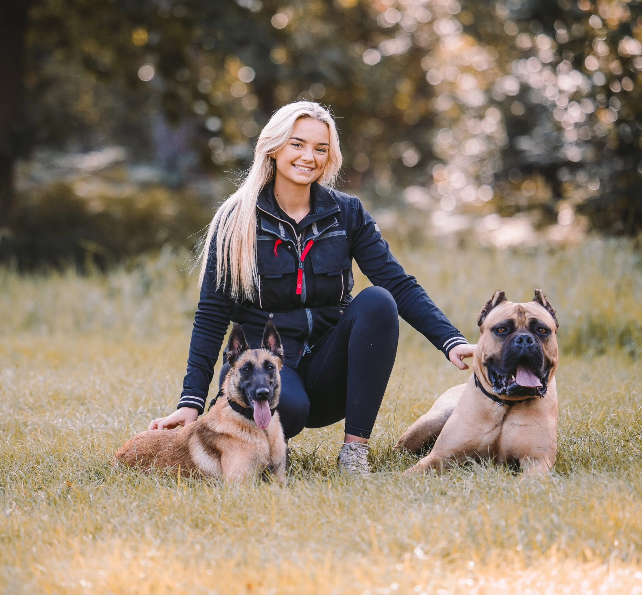 About Revolution Dog Training