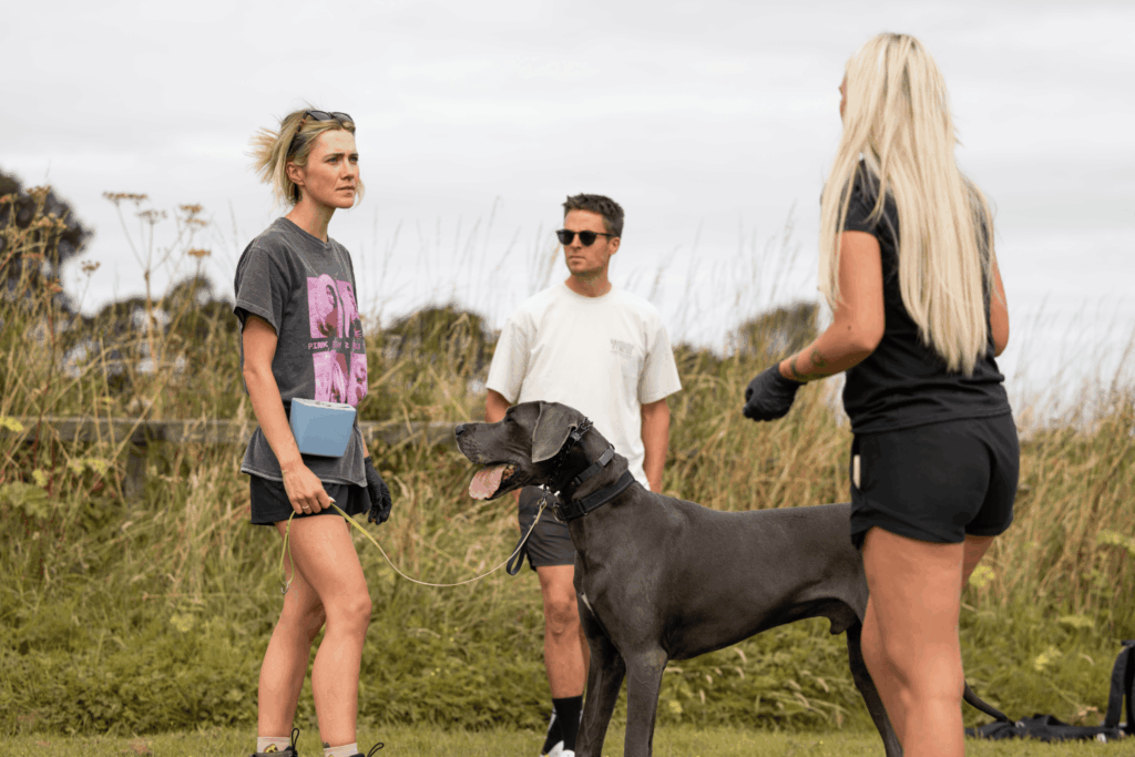 A dog trainer helping clients with training their great dane